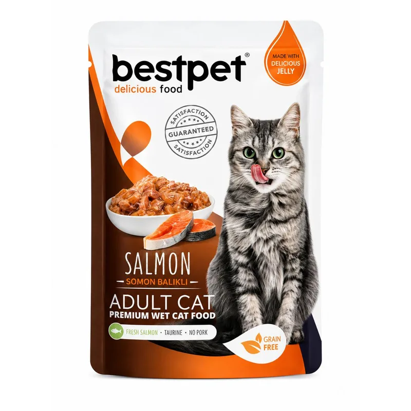 Bestpet - Salmon with Gravy - Premium Wet Jelly Cat Food - 1 Packet